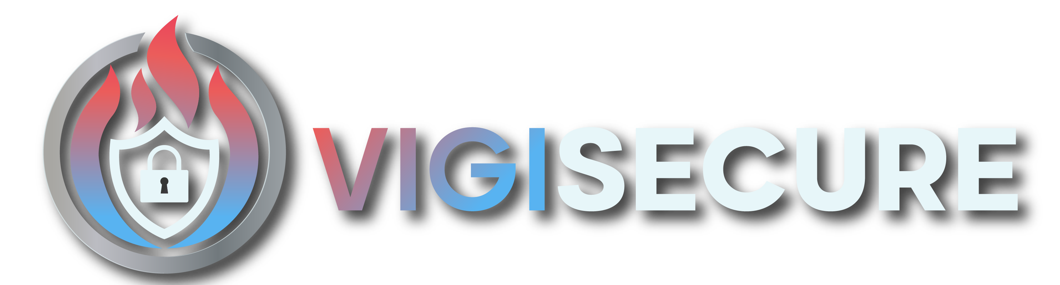 Logo VigiSecure